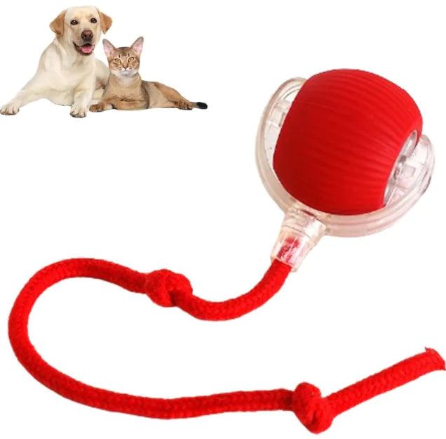 ✨WhiskerWhirl Smart Play Ball