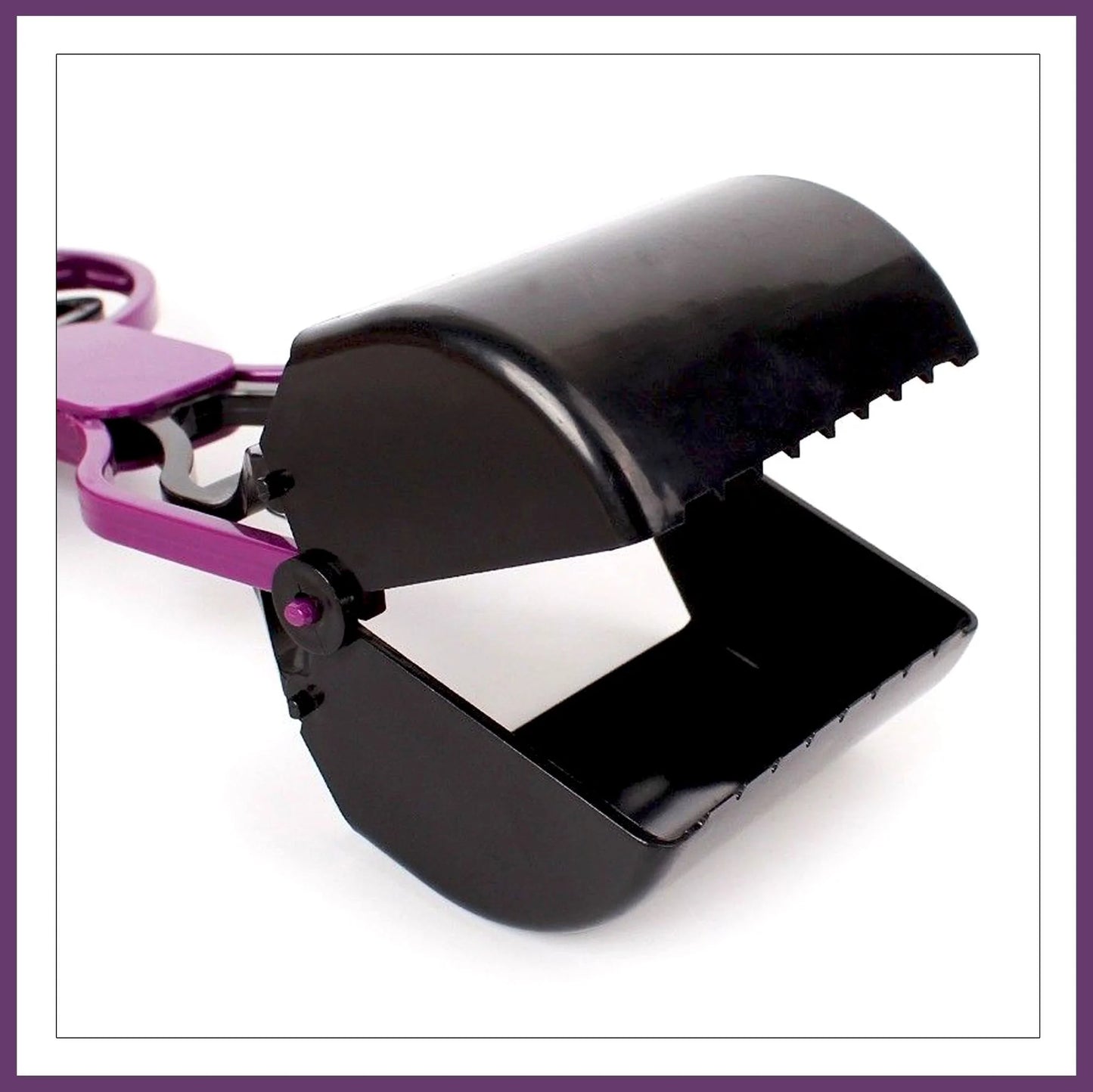 SwiftScoop
