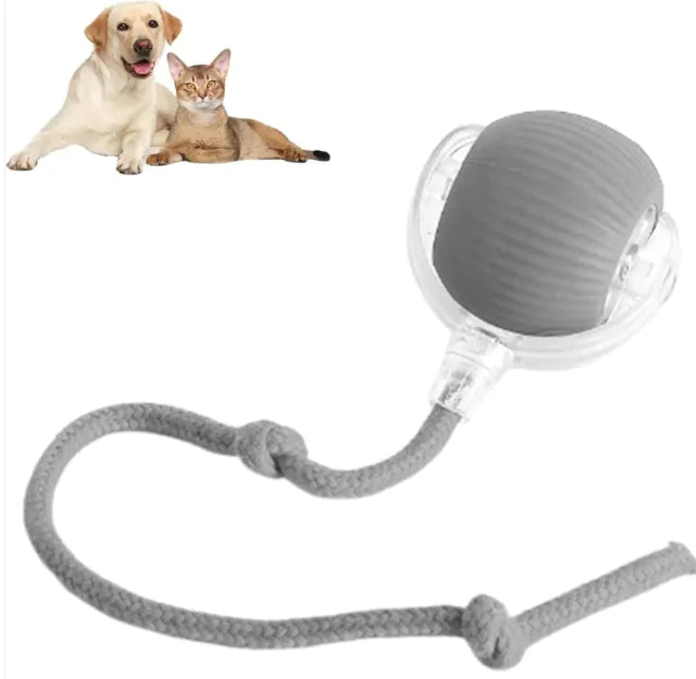 ✨WhiskerWhirl Smart Play Ball