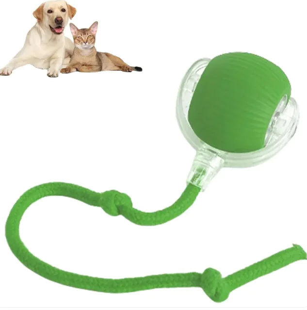 ✨WhiskerWhirl Smart Play Ball