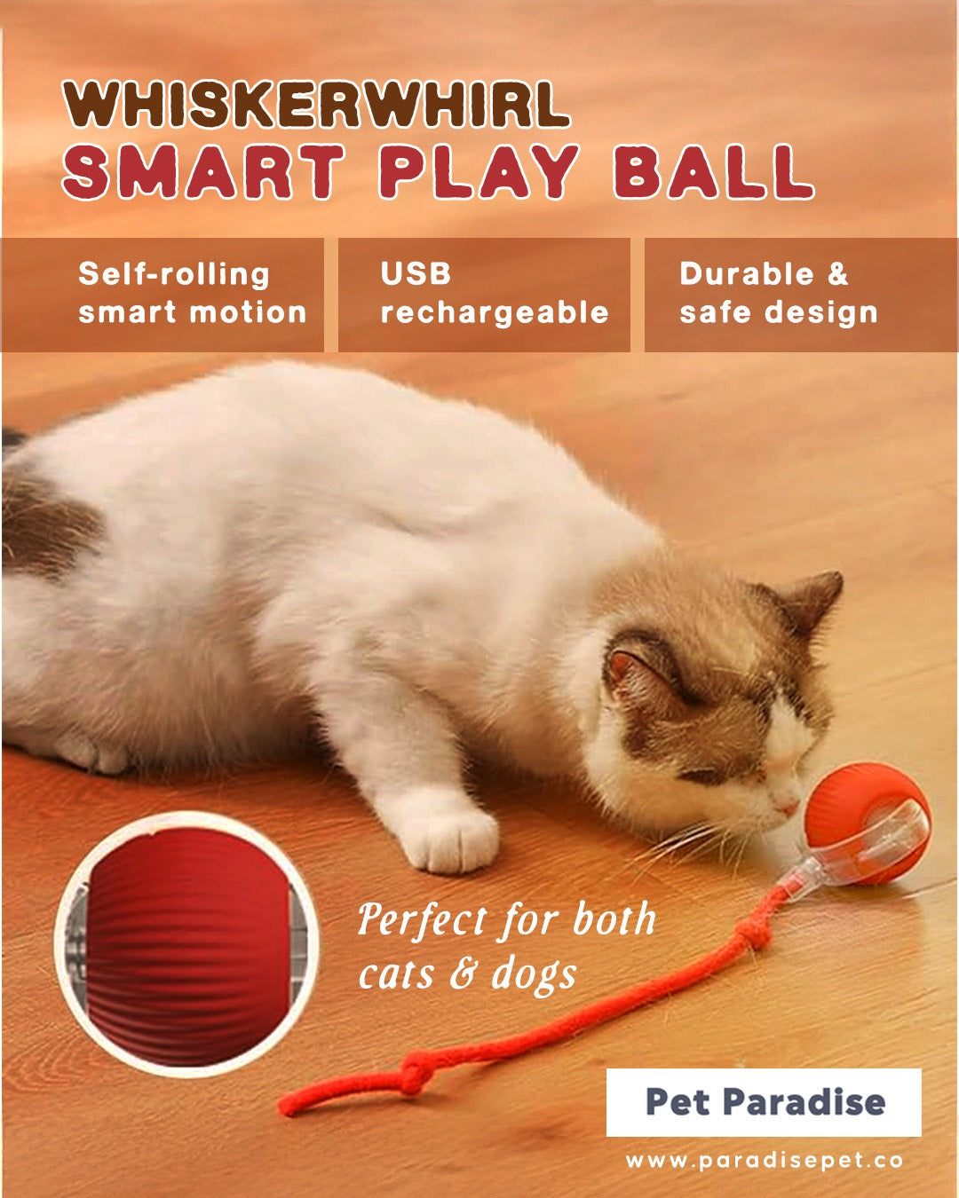 ✨WhiskerWhirl Smart Play Ball