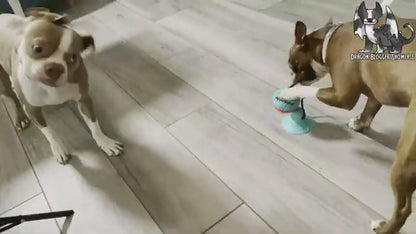 Interactive Silicone Suction Cup Dog Ball Toy for Chewing