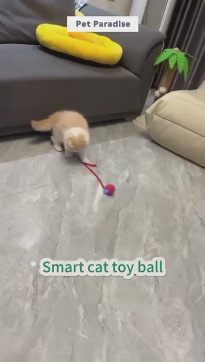 ✨WhiskerWhirl Smart Play Ball